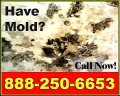 Call 888-250-6653 for a free on-site mold inspection in <?php echo 