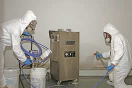 Attic Mold Remediation Process
