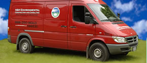 NYC Mold Removal Services